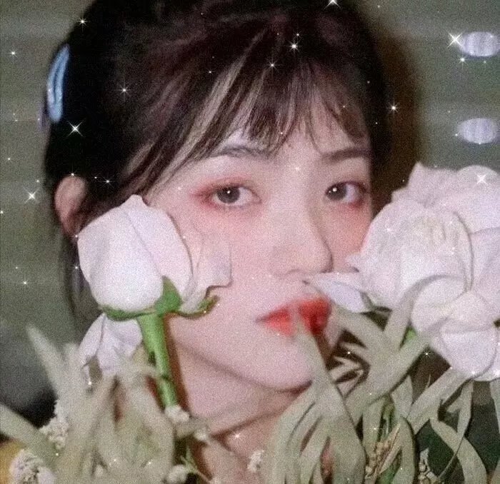 皇家大变身